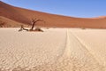 Beautiful Hidden Vlei in desert Namib