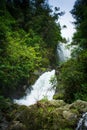Beautiful hidden waterfall in a forest. Adventure and travel concept. Nature background. Kaiate Falls, Bay of Plenty
