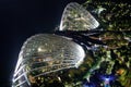 Beautiful high angle shot  of the architectural buildings of Singapore Gardens by the Bay Royalty Free Stock Photo