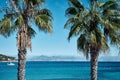 Beautiful high angle shot of two palms and the sea in Antibes town in France Royalty Free Stock Photo