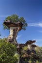 Beautiful high cliff sculpture characteristic natural style in Ubonratchathani Northeast Thailand