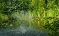 Beautiful high fountain in garden pond. Idyllic picture of green water, red fish and beautiful plants around pond. Royalty Free Stock Photo