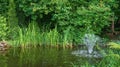 Beautiful high fountain in garden pond. Idyllic picture of green water, red fish and beautiful plants around pond. Royalty Free Stock Photo