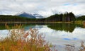 Beautiful high mountains of the Canadian Rockies reflecting in an alpine lake along the Icefields Parkway between Banff and Jasper Royalty Free Stock Photo