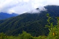 Beautiful high mountains in fog covered with forest in Carpathians. Mountain landscape, Place for tourism, sports, recreation, Royalty Free Stock Photo