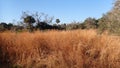 Beautiful hike through this field