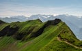 beautiful hiking path along a mountain during sunny summer day, ridge walk with cows Royalty Free Stock Photo