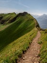 beautiful hiking path along a mountain during sunny summer day, ridge walk with cows Royalty Free Stock Photo