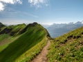 beautiful hiking path along a mountain during sunny summer day, ridge walk with cows Royalty Free Stock Photo