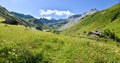 Beautiful hiking path through wildflower meadows, Gafier valley, switzerland Royalty Free Stock Photo