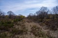 Beautiful hiking trail in the Drover Heide nature reserve