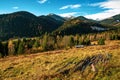 Beautiful hills covered with colorful autumn trees Royalty Free Stock Photo