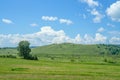 Beautiful hills covered with fresh greenery with cloud shadows