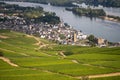 Beautiful hillside vineyards along the Rhine River near ruedesheim and the niederwald monument Royalty Free Stock Photo