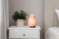 Beautiful Himalayan salt lamp and green houseplant on white stand in bedroom