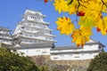 Beautiful himeji castal in the fall season, Japan