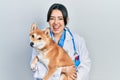 Beautiful hispanic veterinarian woman holding dog smiling and laughing hard out loud because funny crazy joke Royalty Free Stock Photo