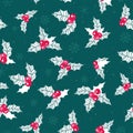 Beautiful Holly Berry seamless pattern, handdrawn creative leaves - christmas background, great for X-Mas themes, banners, Royalty Free Stock Photo