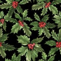 Beautiful holly Ilex berries in seamless pattern