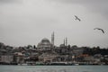 A Holy Blue Mosque Religion Building In Istanbul, Turkey