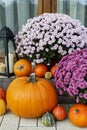 Beautiful home decoration with pumpkins, chrysanthemum flowers and candles Royalty Free Stock Photo