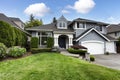 Beautiful home with green grass yard and blooming hydrangea flowers Royalty Free Stock Photo