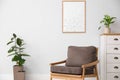 Beautiful home plants in room interior Royalty Free Stock Photo