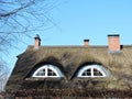 Beautiful home with reed plants roof, Lithuania