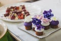 Beautiful homemade cupcakes with purple, white and pink marzipan flowers on top Royalty Free Stock Photo