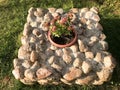 Beautiful homemade stone little flower bed of cobble stones on t Royalty Free Stock Photo