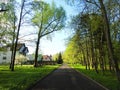 Road, homes and beautiful spring trees, Lithuania