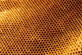 Beautiful honeycomb without honey texture Royalty Free Stock Photo