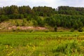 Beautiful horizon scenery in village meadow on color natural background, photography consisting of horizon scenery in