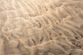 Beautiful horizontal background image of a sand beach texture near Alesund, Norway Royalty Free Stock Photo