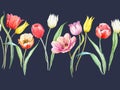 Beautiful horizontal seamless pattern with watercolor gentle blooming tulip flowers. Stock illustration.