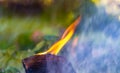 A beautiful horizontal texture of a burning fire and brown wood on a blurred blue and green plants background Royalty Free Stock Photo