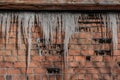 A beautiful horizontal texture of part of a old crashed brick wall in orange hue with a group of sharp white icicles is hanging do