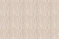 Beautiful horizontal texture of piece of old wallpaper sepia hue. Seamless pattern Royalty Free Stock Photo