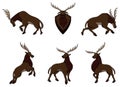 Beautiful Horn Deer Collection Color Illustration