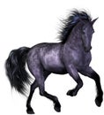Beautiful Horse Royalty Free Stock Photo
