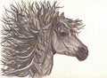 Beautiful Horse with bright colorful mane.Drawning by pencil .Close-up