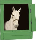 Beautiful horse drawing, color Royalty Free Stock Photo