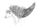 Beautiful Horse with mane and wings.Pegasus.Drawning by pen Royalty Free Stock Photo
