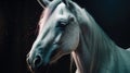 beautiful horse portrait illustration Animal wildlife Royalty Free Stock Photo