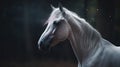 beautiful horse portrait illustration Animal wildlife Royalty Free Stock Photo