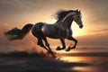 Beautiful Horse running on a beach at sunset. Stallion Running on the beach splashing waves at sunrise. Ai generated Royalty Free Stock Photo