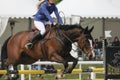 A beautiful horse show jumping during a jump contest