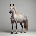 stunning horse standing elegantly against a pure white background Royalty Free Stock Photo