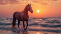 beautiful horse standing on the beach at sunset