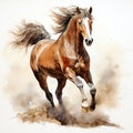 Beautiful horse watercolor painting, a brown stallion galloping across a meadow or desert on a white background